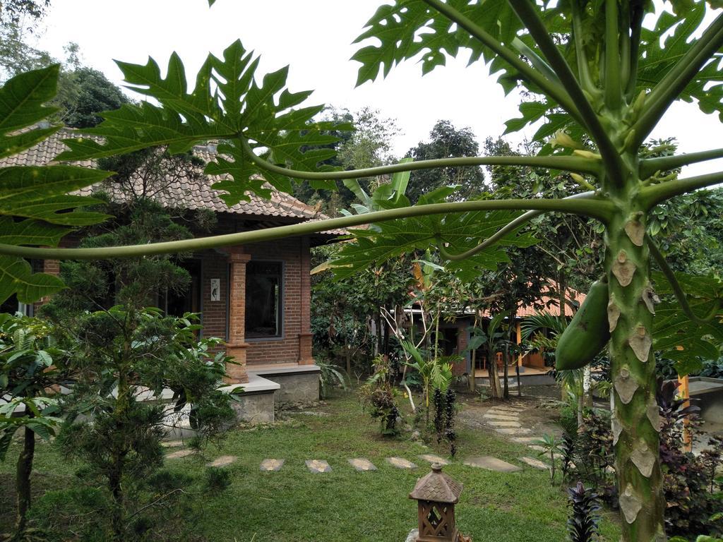 Dina Home Stay At Desa Wisata Wongayagede Jatiluwih Eksteriør billede